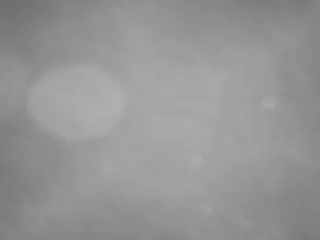 voyeurcam casa salsa pool 1's Live Sex Cam Show