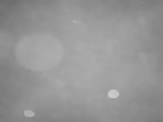 voyeurcam casa salsa pool 1's Live Sex Cam Show