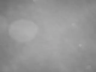 voyeurcam casa salsa pool 1's Live Sex Cam Show