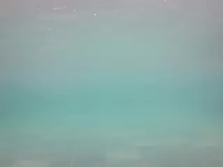 voyeurcam casa salsa pool 1's Live Sex Cam Show