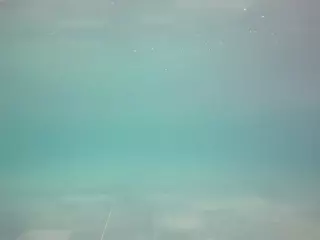 voyeurcam casa salsa pool 1's Live Sex Cam Show