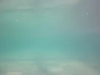 voyeurcam casa salsa pool 1's Live Sex Cam Show