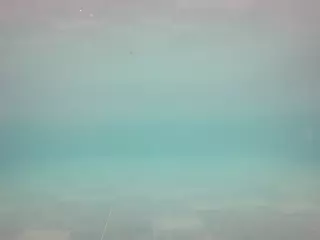 voyeurcam casa salsa pool 1's Live Sex Cam Show