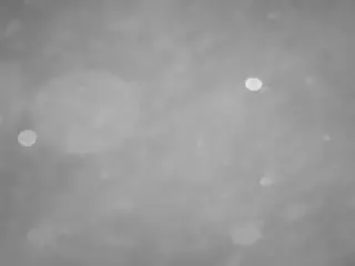 voyeurcam casa salsa pool 1's Live Sex Cam Show