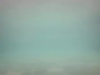 voyeurcam casa salsa pool 1's Live Sex Cam Show