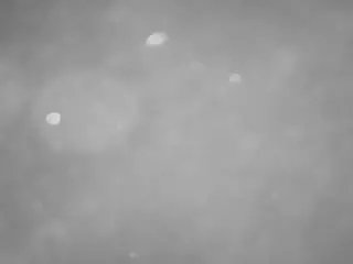 voyeurcam casa salsa pool 1's Live Sex Cam Show