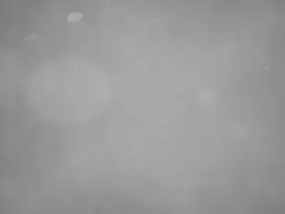 voyeurcam casa salsa pool 1's Live Sex Cam Show