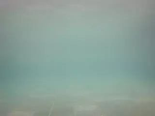 voyeurcam casa salsa pool 1's Live Sex Cam Show