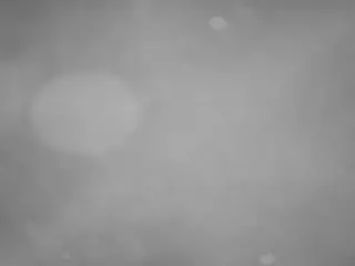 voyeurcam casa salsa pool 1's Live Sex Cam Show