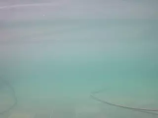 voyeurcam casa salsa pool 1's Live Sex Cam Show
