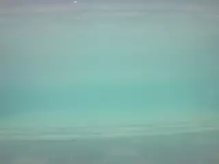 voyeurcam casa salsa pool 1's Live Sex Cam Show