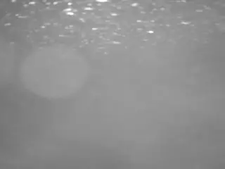 voyeurcam casa salsa pool 1's Live Sex Cam Show