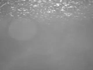 voyeurcam casa salsa pool 1's Live Sex Cam Show
