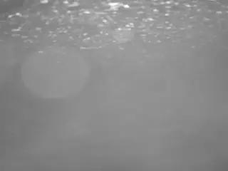 voyeurcam casa salsa pool 1's Live Sex Cam Show
