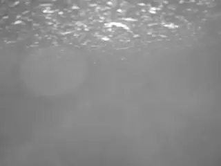voyeurcam casa salsa pool 1's Live Sex Cam Show