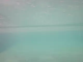 voyeurcam casa salsa pool 1's Live Sex Cam Show