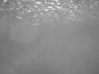 voyeurcam casa salsa pool 1's Live Sex Cam Show