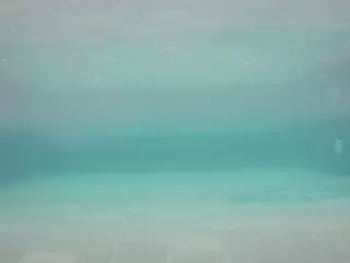 voyeurcam casa salsa pool 1's Live Sex Cam Show
