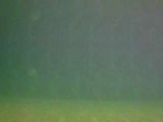 Voyeurcam-casa-salsa-pool-2