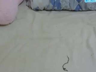 cuteavrl