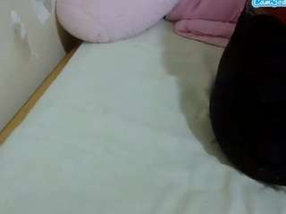 cuteavrl