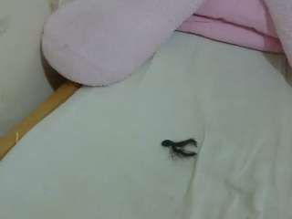 cuteavrl