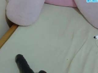 cuteavrl
