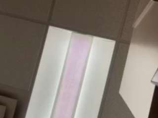 xiomarahoney webcam
