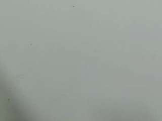 lilybenet1 live cam profile