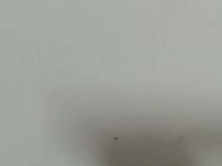 lilybenet1