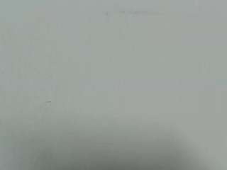 lilybenet1