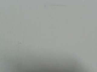 lilybenet1