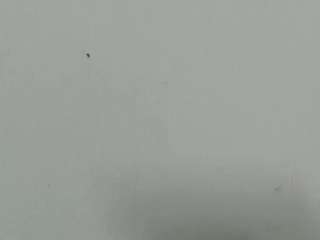 lilybenet1 live webcam show
