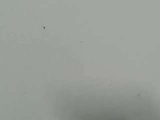 lilybenet1's live room