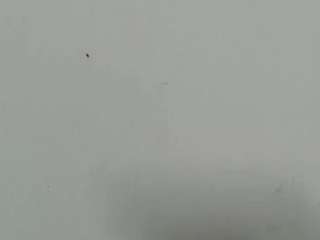 lilybenet1 live webcam show