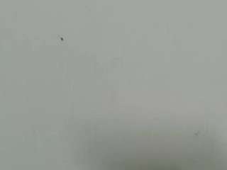 lilybenet1 live webcam show