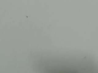 lilybenet1 live webcam show