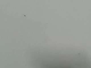lilybenet1 live webcam show