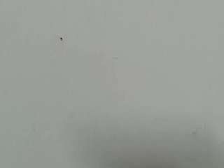 lilybenet1 live webcam show