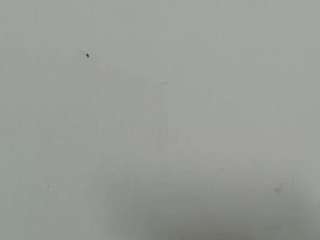 lilybenet1 live webcam show