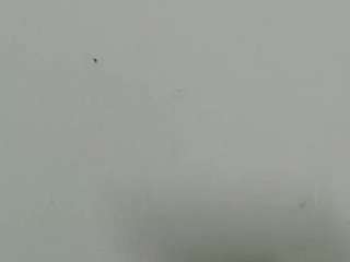 lilybenet1 live webcam show