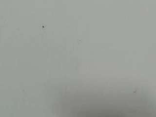 lilybenet1