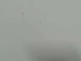 lilybenet1 live webcam show