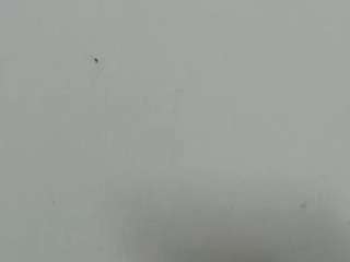 lilybenet1 live webcam show