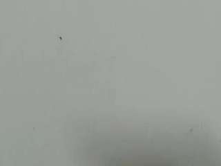 lilybenet1
