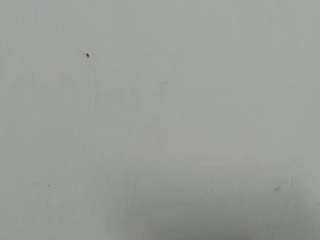 lilybenet1 live webcam show