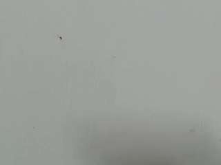 lilybenet1 live webcam show