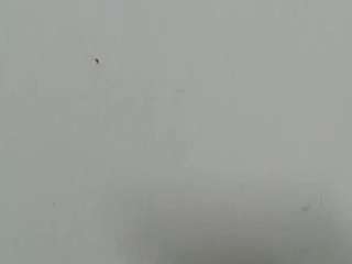 lilybenet1 live webcam show
