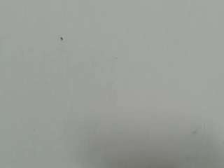 lilybenet1 live webcam show