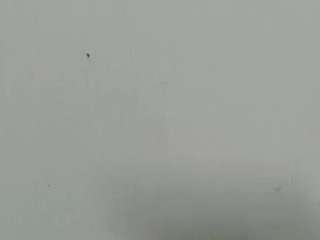 lilybenet1 live webcam show